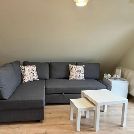 Wilczy Zaulek Guest house 3*